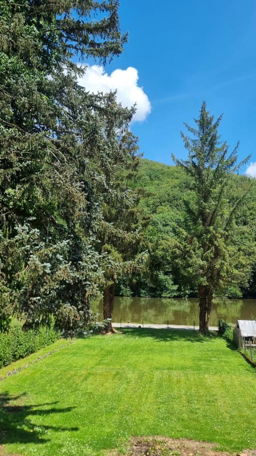 Le Sapin Bleu Villa Hastiere-par-dela Ngoại thất bức ảnh